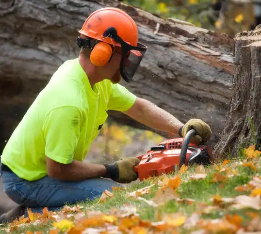 tree services Lakewood Club